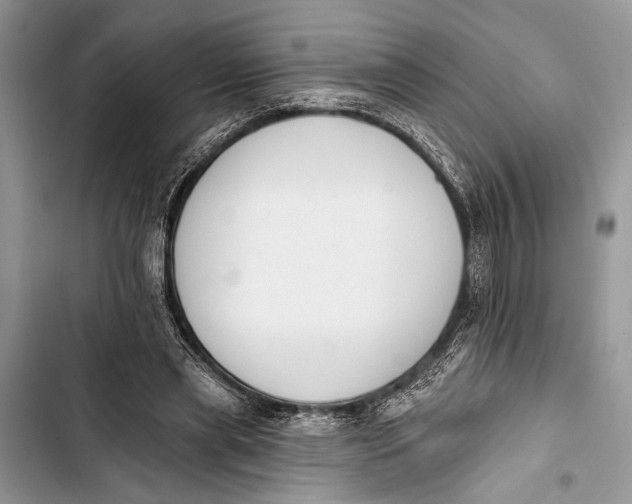 X0000103470445200810031524