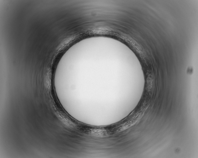 X0000103470446200810031524