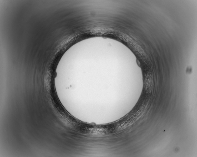X0000103470448200810031524