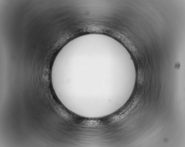 X0000103470449200810031524