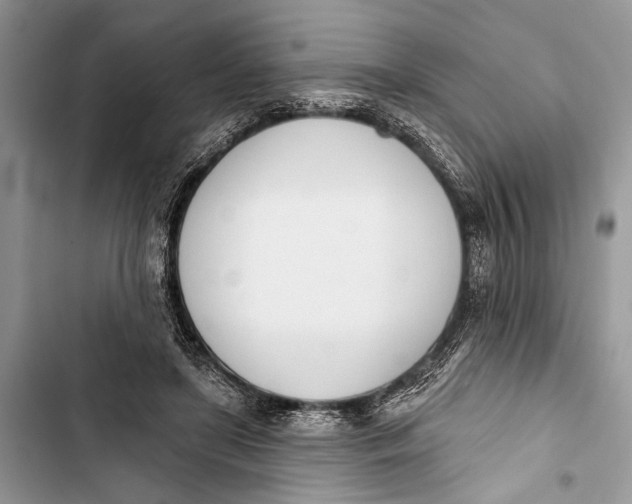 X0000103470451200810031524