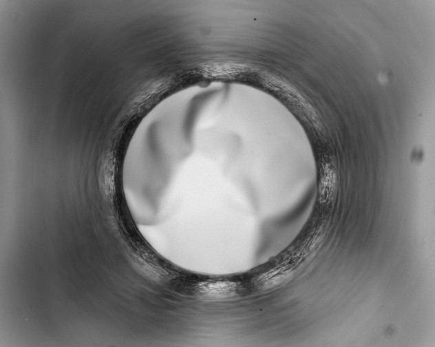 X0000103470452200810031524