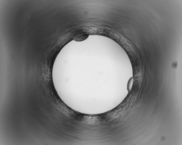 X0000103470469200810031524