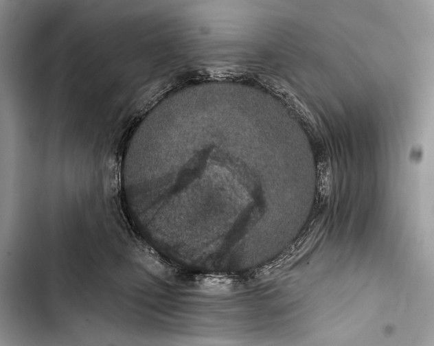 X0000103470471200810031524