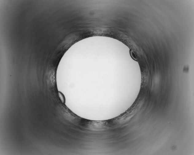 X0000103470479200810031524