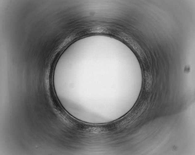 X0000103470482200810031524