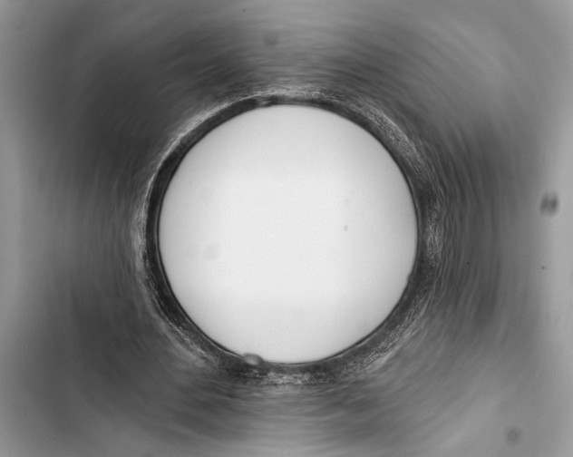 X0000103470484200810031523