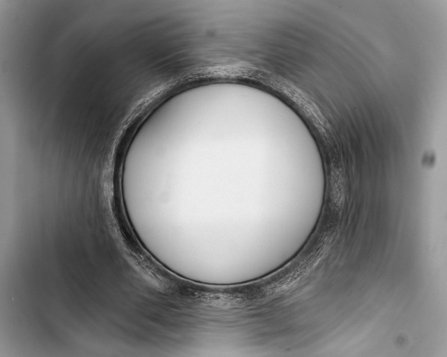 X0000103470486200810031523
