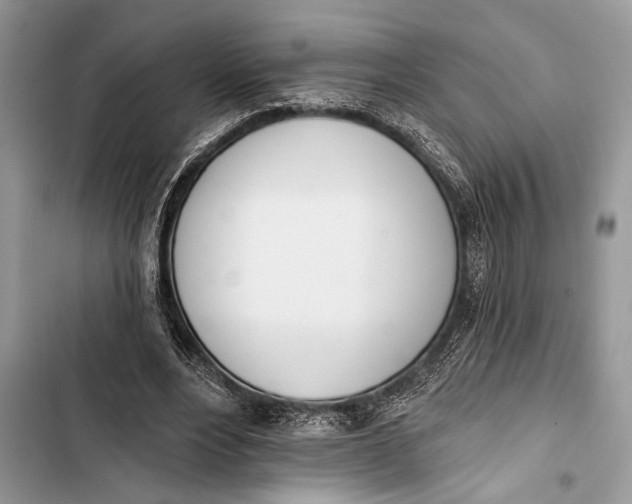 X0000103470488200810031523