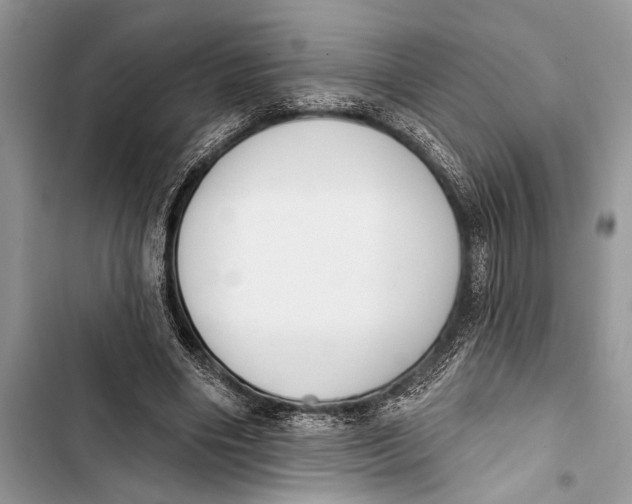 X0000103470490200810031523