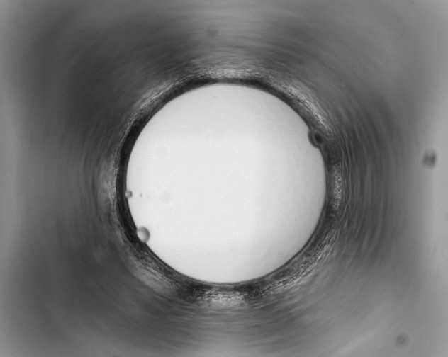 X0000103470491200810031523