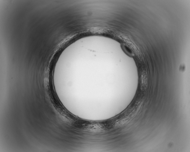 X0000103470492200810031523