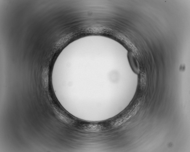 X0000103470493200810031523