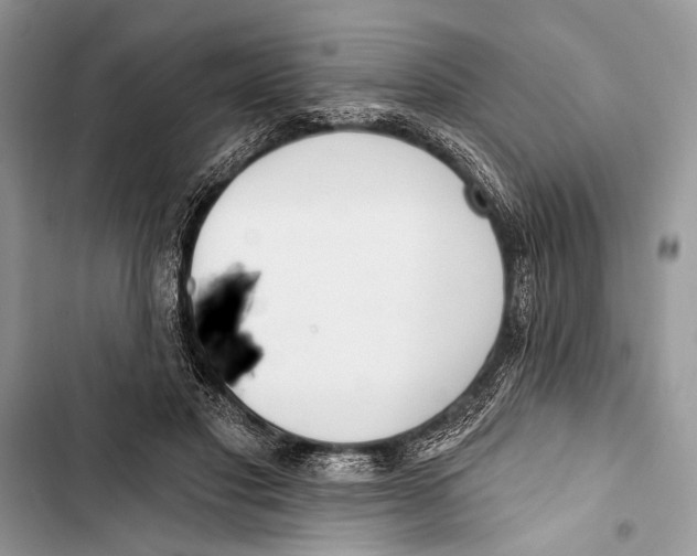 X0000103470501200810031523
