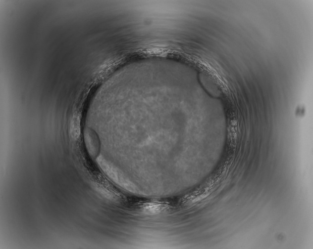 X0000103470504200810031523