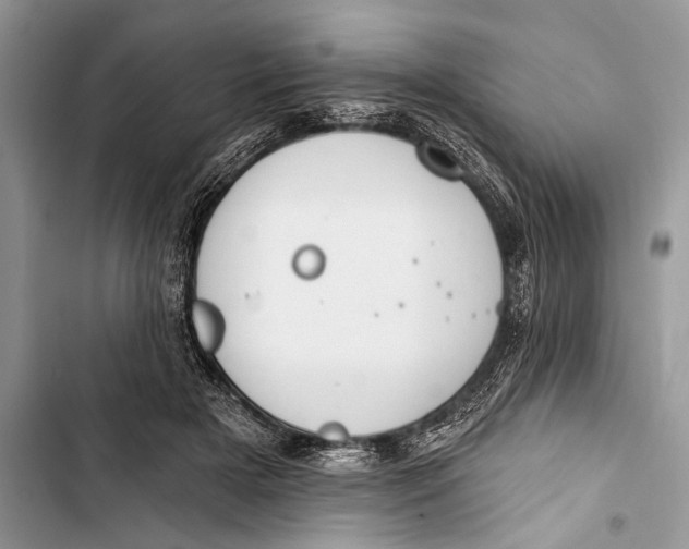 X0000103470505200810031523