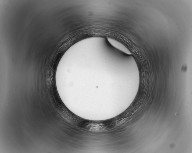 X0000103470507200810031523