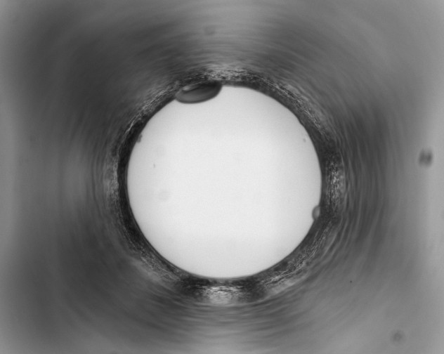 X0000103470508200810031523