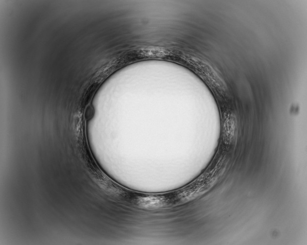 X0000103470511200810031523