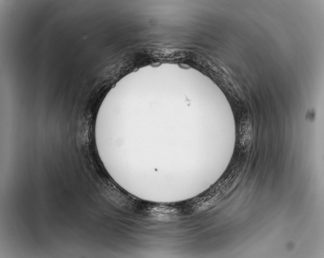 X0000103470515200810031523