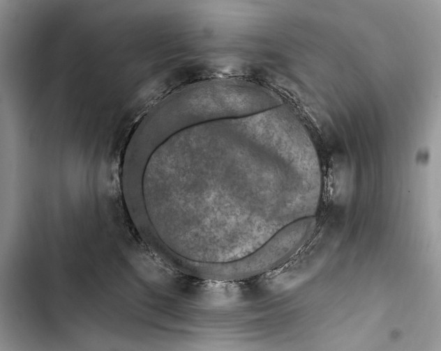 X0000103470520200810031523