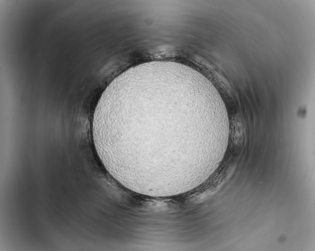 X0000103470523200810031523