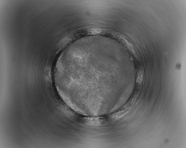 X0000103470524200810031523