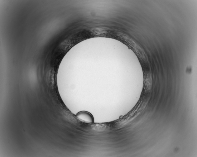 X0000103470525200810031523