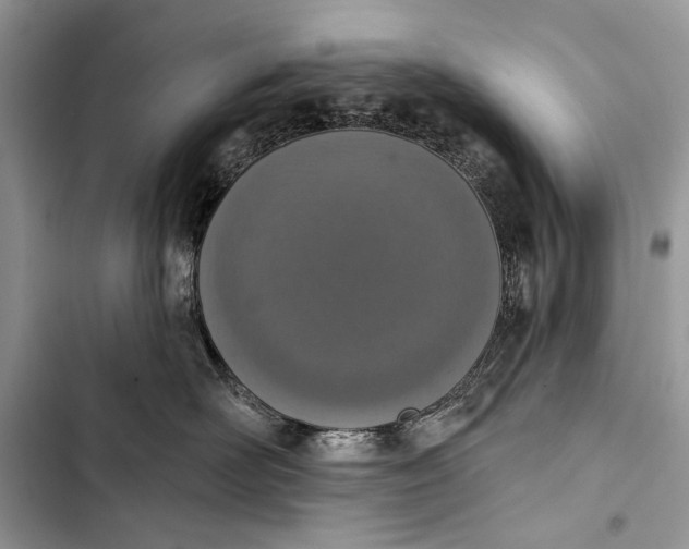 X0000103470526200810031523