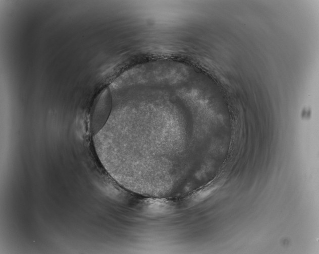 X0000103470528200810031523