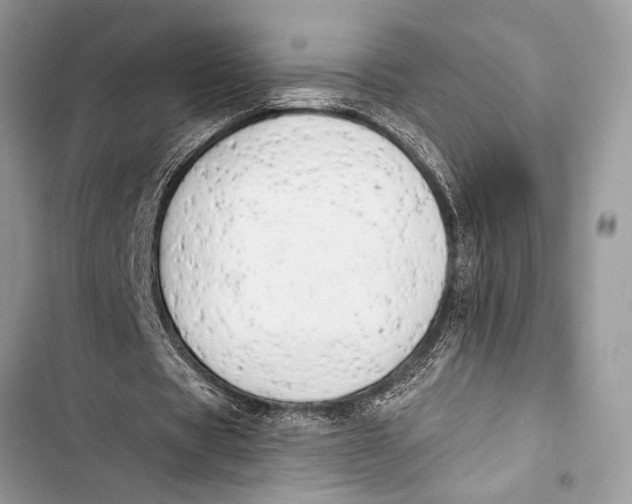 X0000103470529200810031522