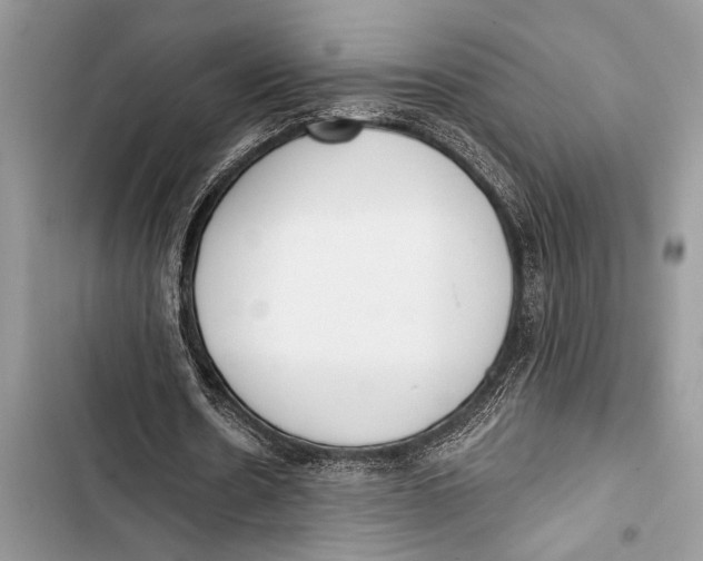 X0000103470530200810031522