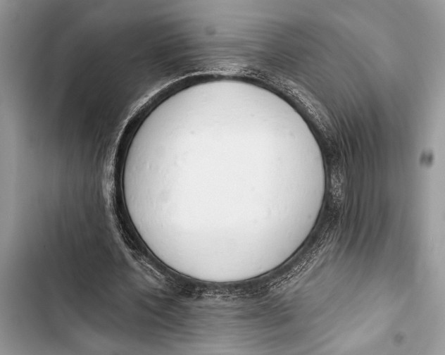 X0000103470532200810031522