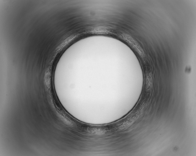 X0000103470533200810031522