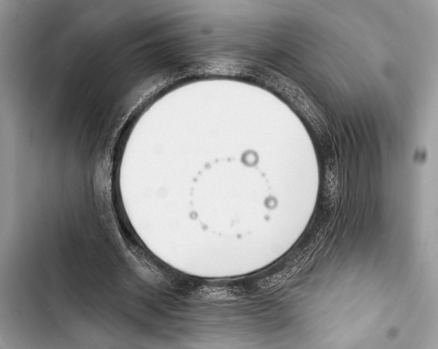 X0000103470534200810031522