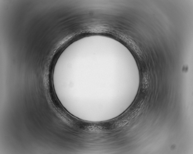 X0000103470535200810031522