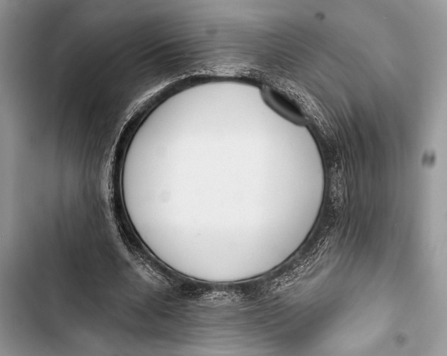 X0000103470536200810031522