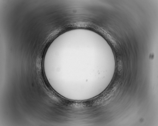 X0000103470537200810031522