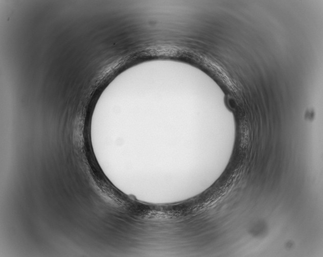 X0000103470538200810031522