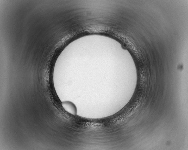 X0000103470539200810031522