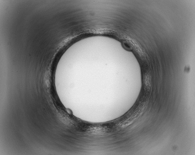 X0000103470540200810031522