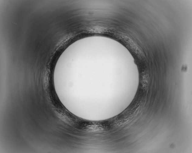 X0000103470544200810031522