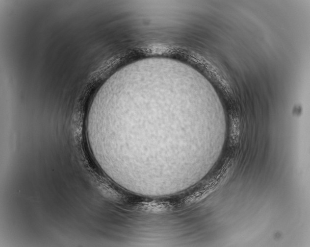 X0000103470545200810031522