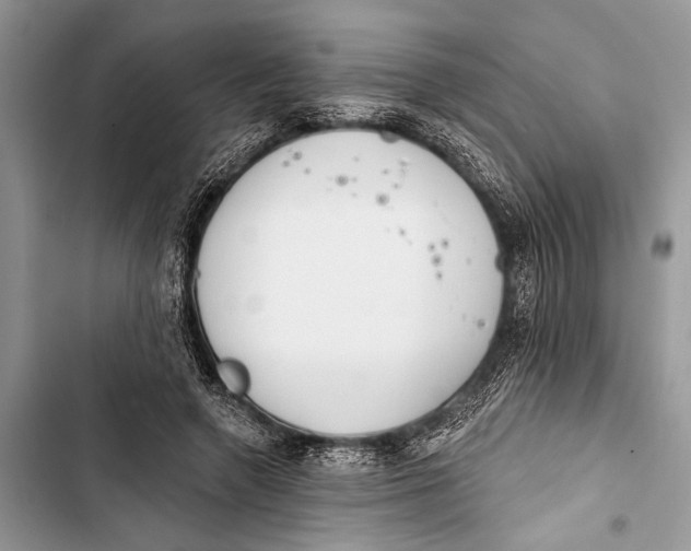 X0000103470546200810031522