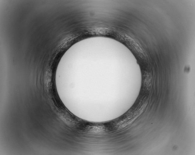 X0000103470548200810031522