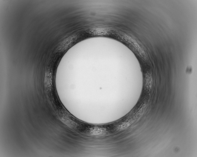 X0000103470549200810031522