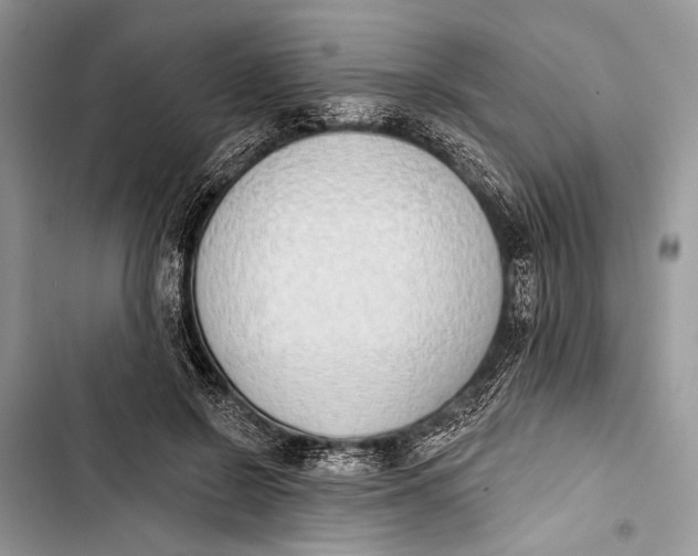 X0000103470550200810031522