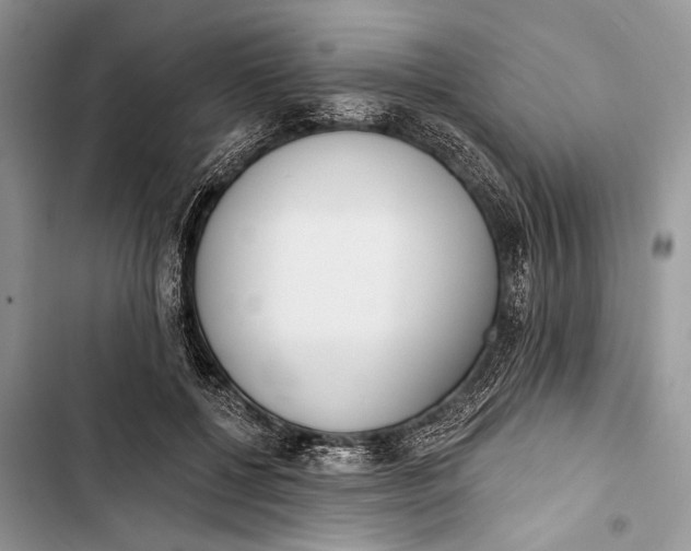 X0000103470552200810031522