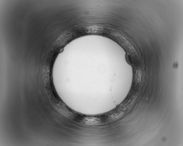 X0000103470557200810031522