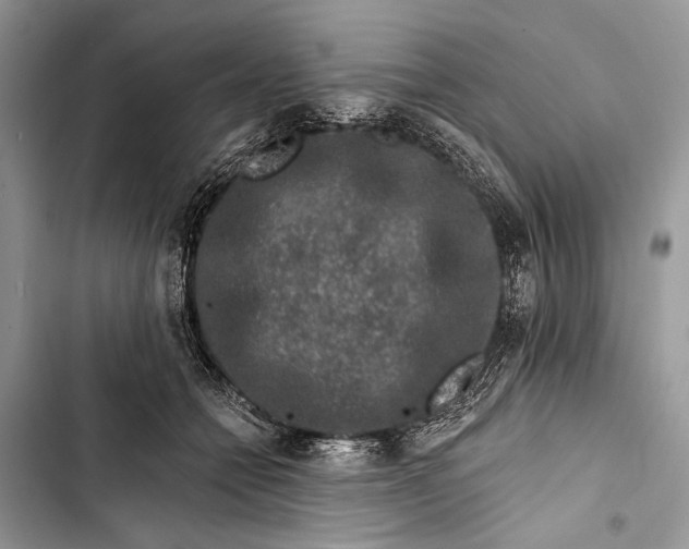 X0000103470558200810031522